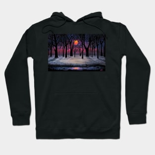 Misty Night - Dismal Moon Hoodie